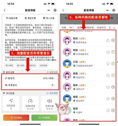 娱乐吃瓜配音用什么软件,轻松打造趣味横生的配音体验